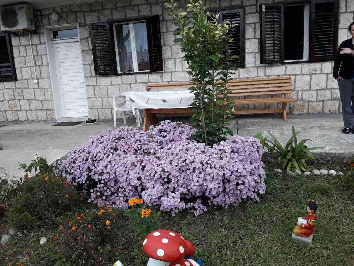 Apartment Dragone Ούλτσιν Εξωτερικό φωτογραφία